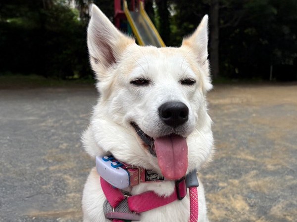 6ea4c3dd5bf4903464fc0673c551480e