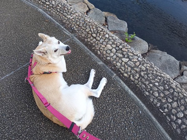 c6ebc5c08455afb32130c9a2c5e99ff8