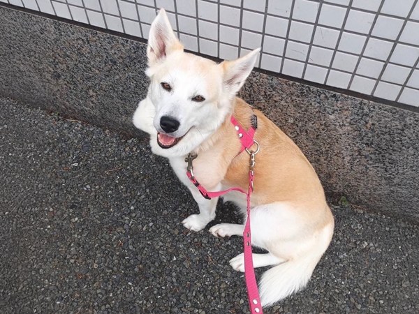 70a1d116a498e7bf93bd65cab2edbc3f