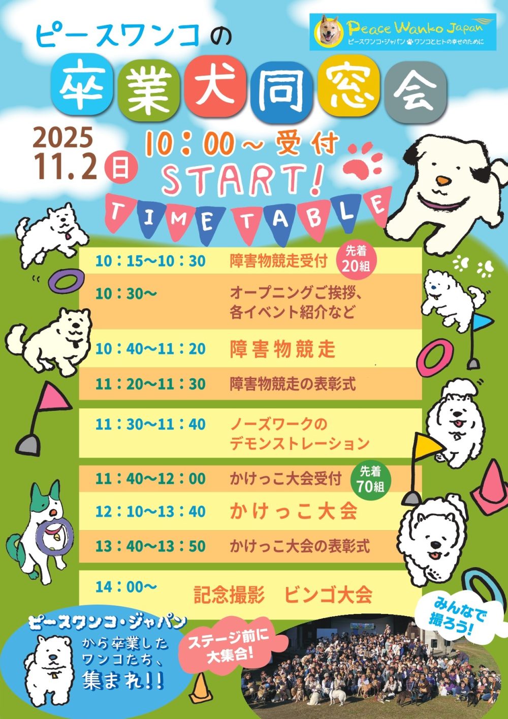 c85f7584e4e4ff1125c54e422364d6c6 e1761877615711