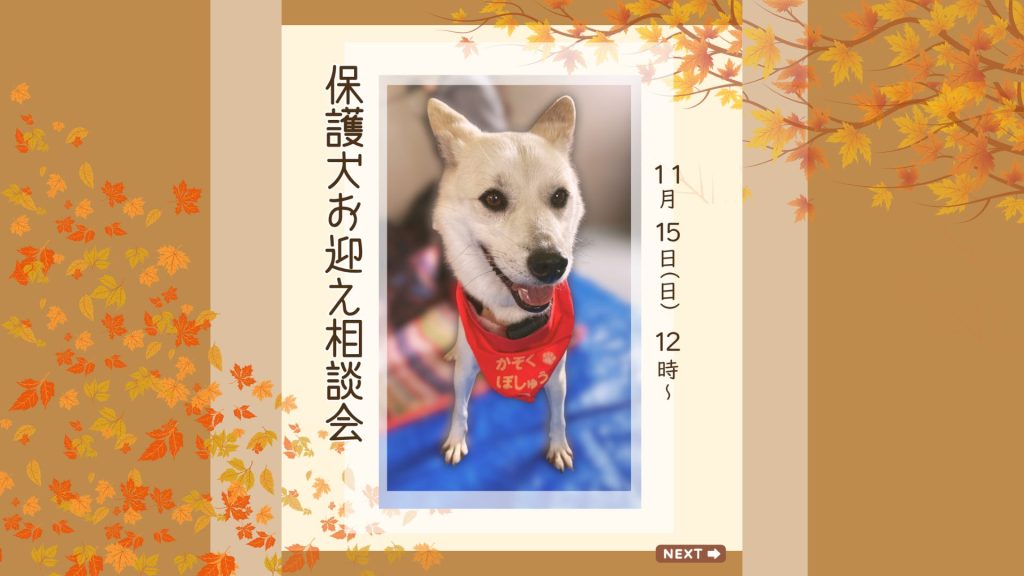 ea2c8b1c110574807fab943ffd1efe93