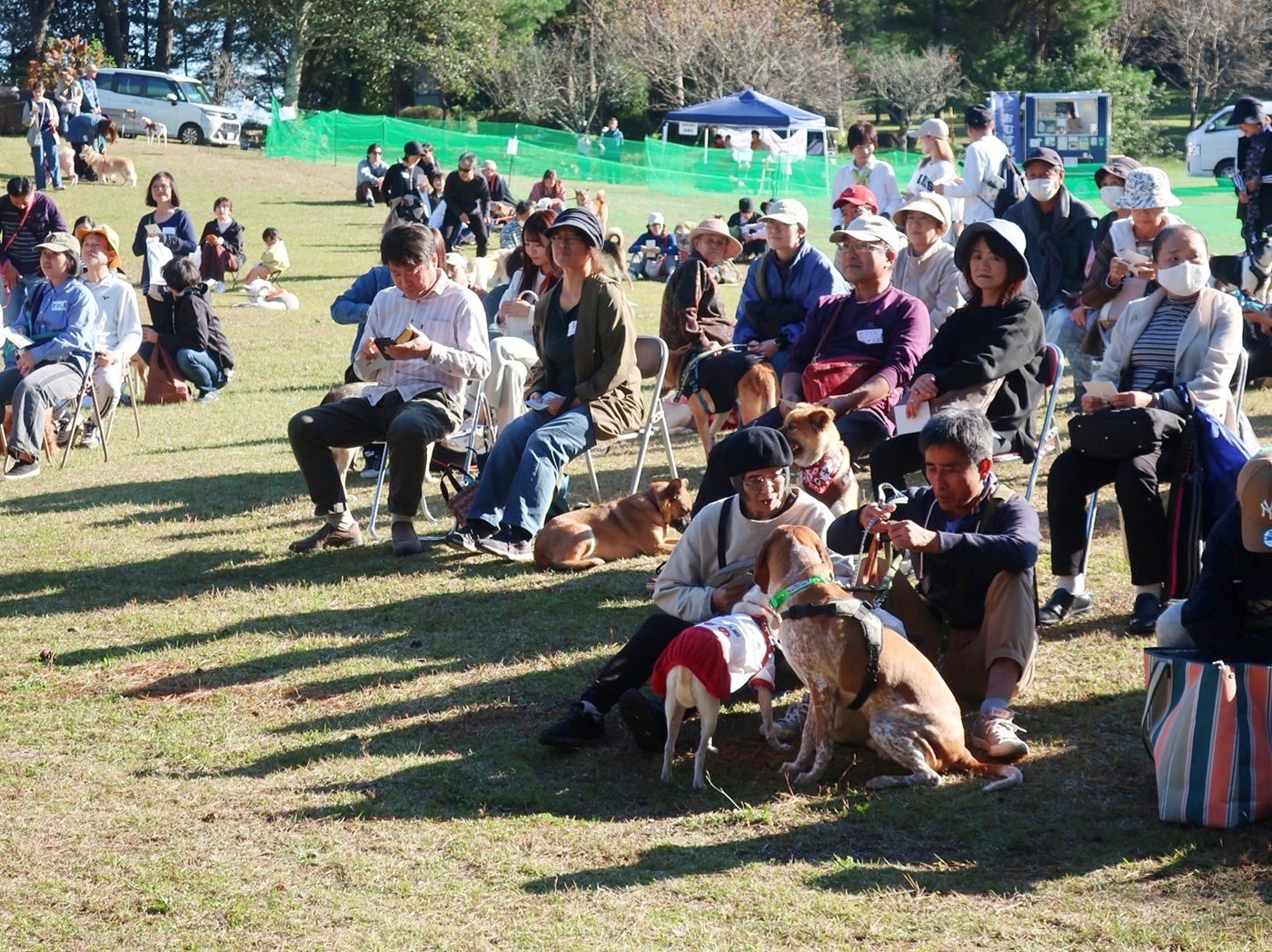 a217e68421900bc08cdea1ac347f340e