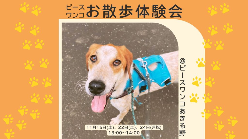 1b272fa2143638cabfeec9629025adab 2