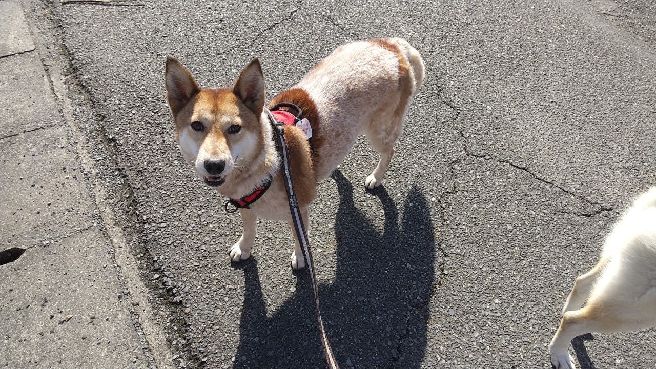 e59ff3d2b5bb1ce681309fca2d20f4c9