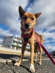 062e551e0c0151a05f65f848fc49bf34