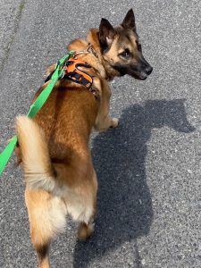 f88733d3fcf76d83fbeda774bb74123b