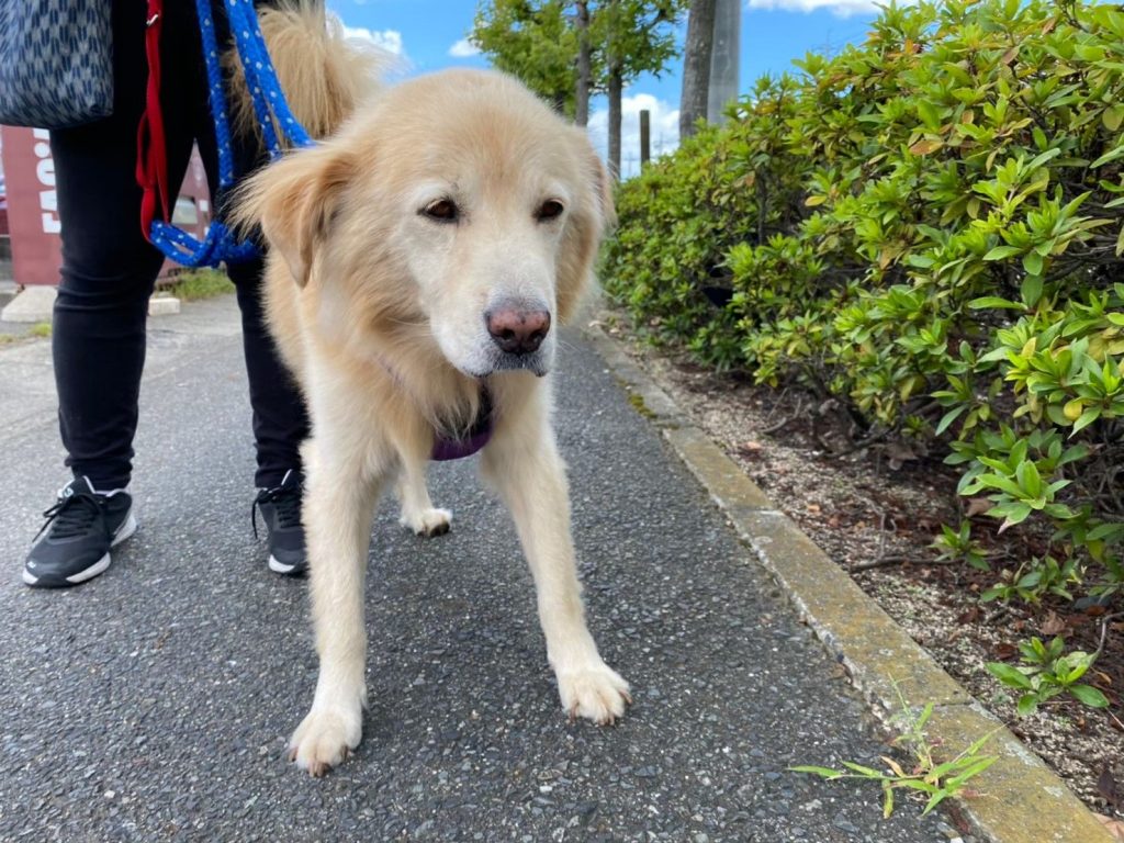 26e4665d5250104e5d554ca96296f5d0