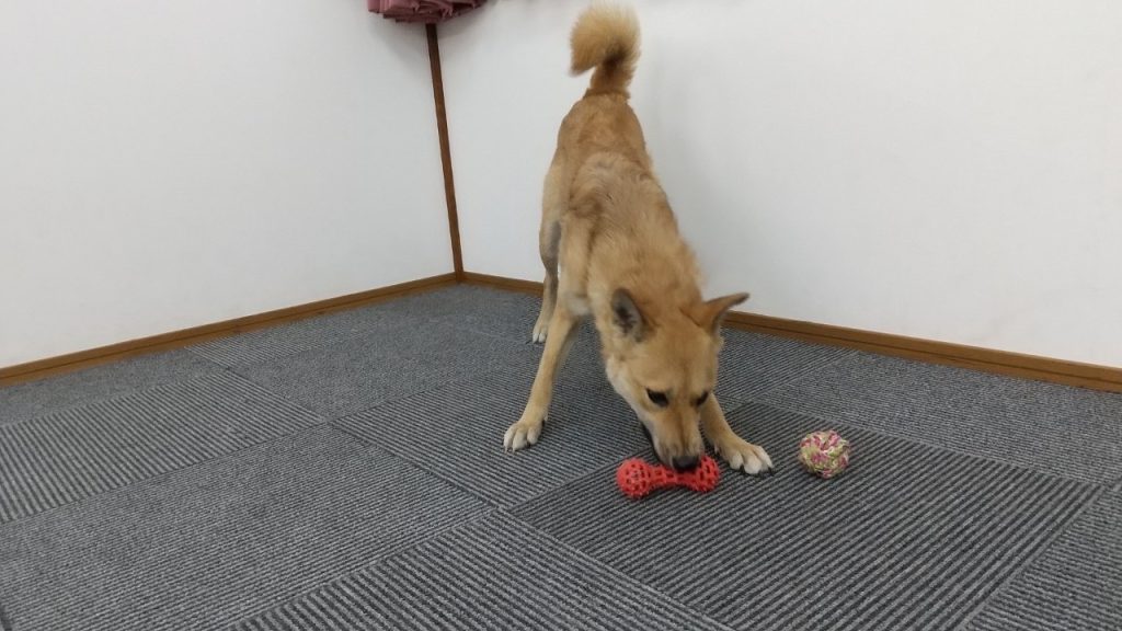 68f0ee736c2fc0f90d4041a9e1198391