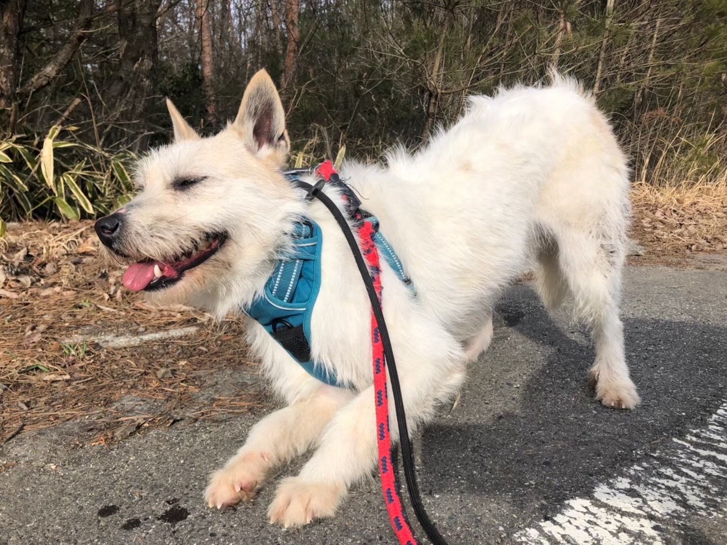 02d13eb6d1e8c168960aeedb97d4df61