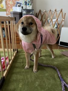 1084a49f6c7123512174db6aaa6f6b19