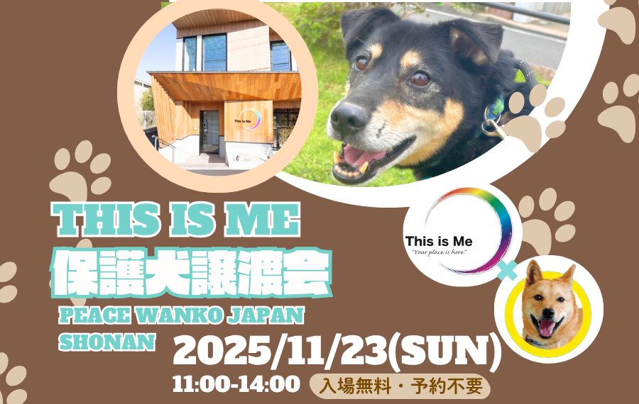 譲渡会・イベントのご案内 4 6 6