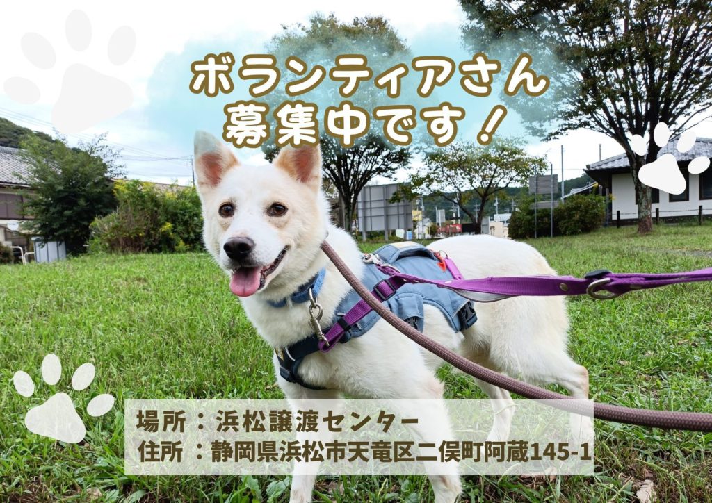 【ピースワンコのイベント】11/8(土)、16(日)、25(火)、29(土)「ボランティア説明会」開催(浜松譲渡センター) 6 f6f78d272e0dfac44e7ff83da7b207f6