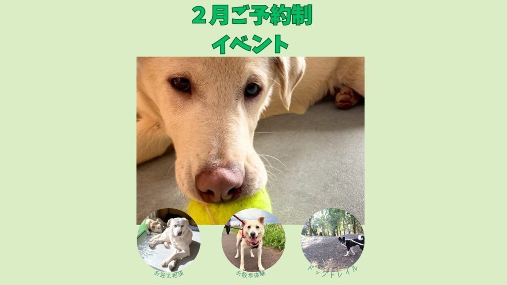 044db71d99f6712e7bbd162f5014eb10