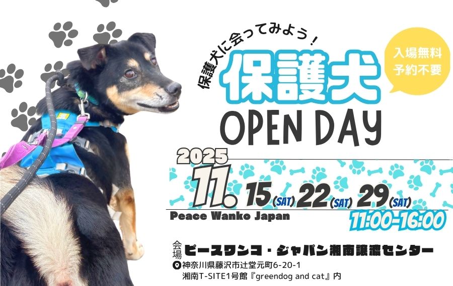 59799722369b820178c39641019fd35e