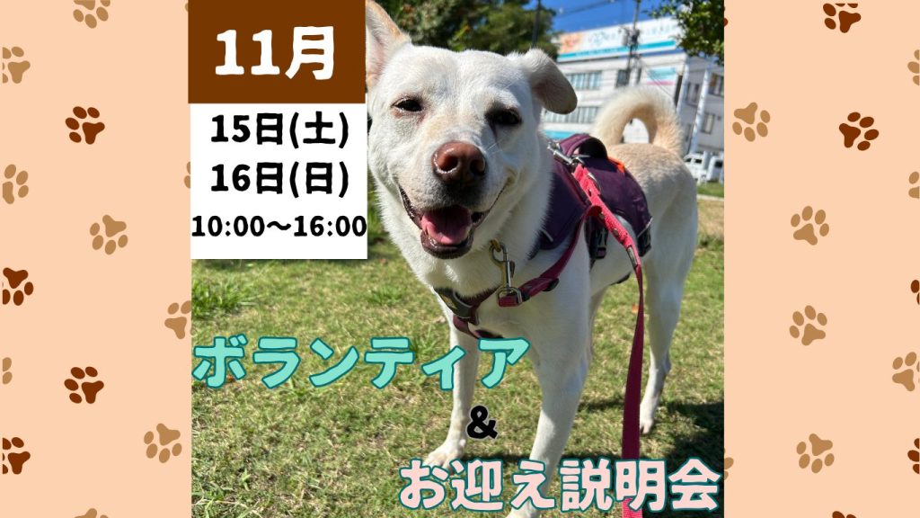 【ピースワンコのイベント】11/15(土)、16(日)ボランティア&お迎え説明会(福山譲渡センター) 7 b5a402ac0af97260830a9387b2ea63e4