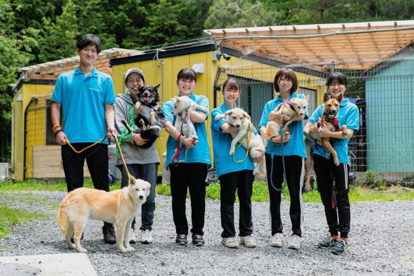 de184564813c2d81f0f42391f7142b05 e1762228057356