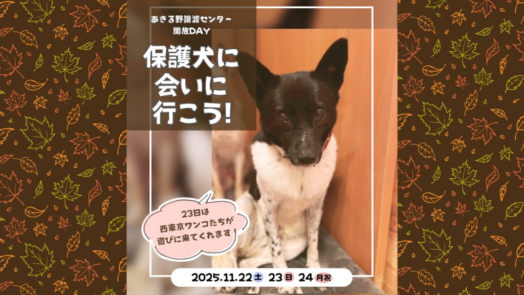 4249cbe1ede4aa37624a5598cdf055a2