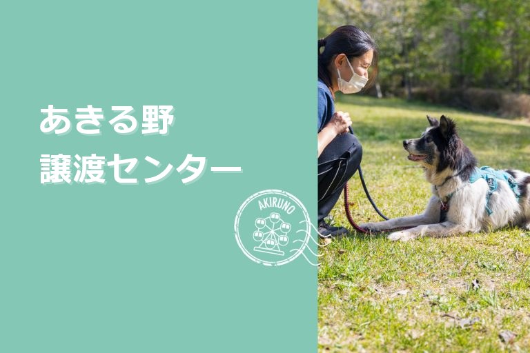 a85510656ac6314341793714661e5a03 1