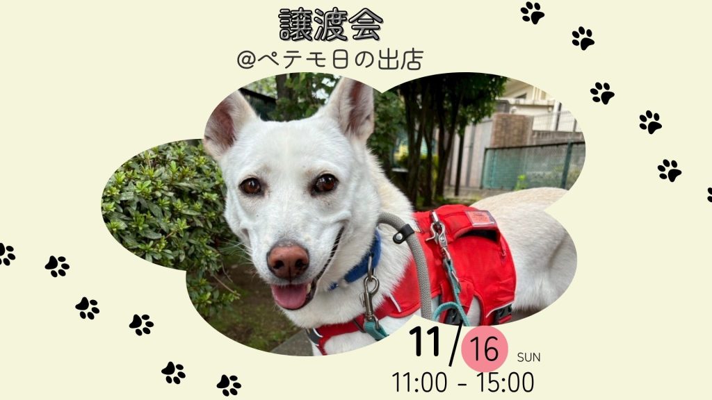 535a3c434d43f8d248bf7da2c4881079