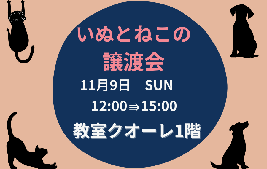 【ピースワンコの譲渡会】11/9(日)「いぬねこ譲渡会」に参加(広島/呉市) 6 7