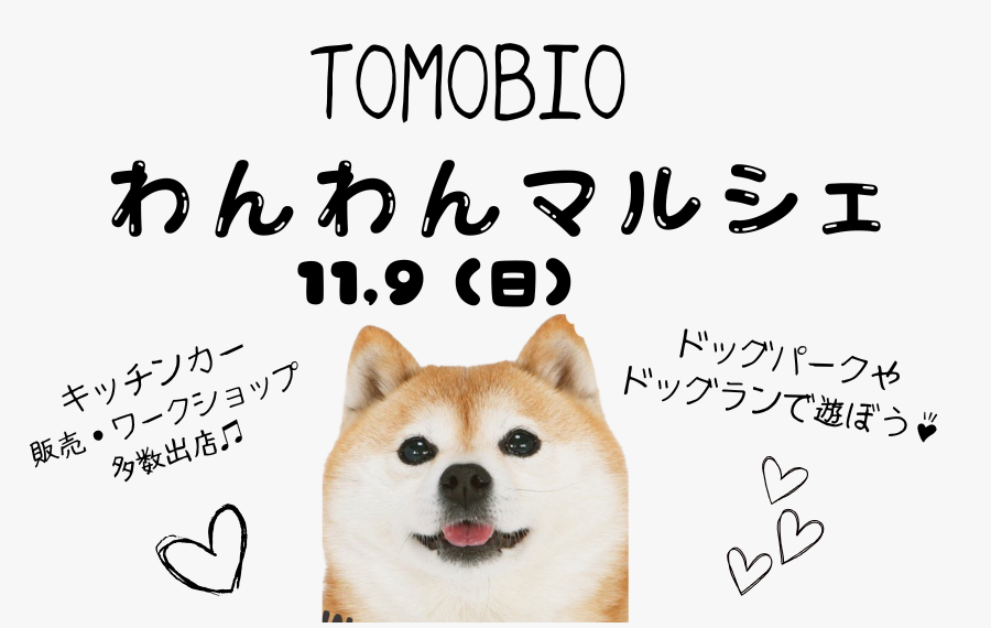 【ピースワンコの譲渡会】11/9(日)「トモビオわんわんマルシェ」に参加(広島/安芸郡) 7 6 1