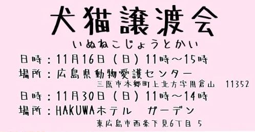 【ピースワンコの譲渡会】11/16(日)「犬猫譲渡会」に参加(広島/三原市) 3 fd8abe3e3395bce1f3fdf1f3dce9b076