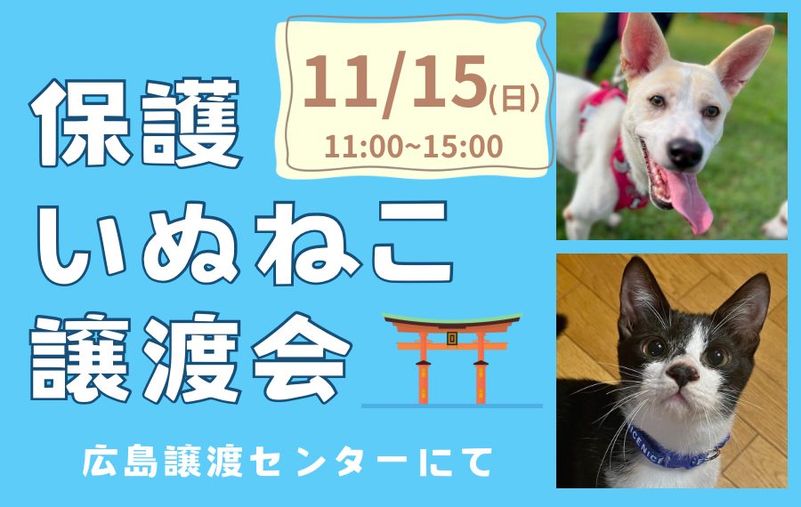 【ピースワンコの譲渡会】11/15(土)「保護いぬねこ譲渡会」開催(広島譲渡センター) 12 eyecatch