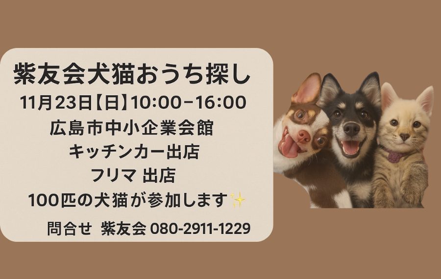 【ピースワンコの譲渡会】11/23(日)「紫友会犬猫おうち探し」に参加(広島/広島市) 9 72ede3ccadcd2b86e88d753bc7d38748