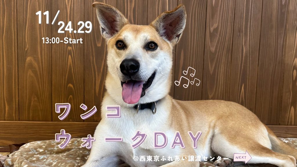 42b187e146e569f0cd162fd684f69db5