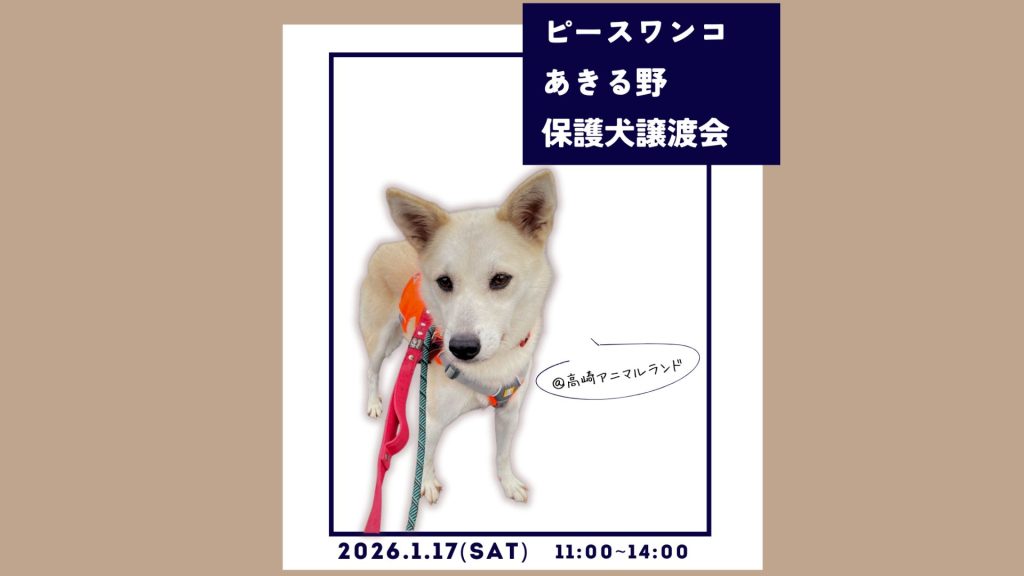 【ピースワンコの譲渡会】1/17(土)「保護犬譲渡会」を開催(群馬/高崎市) 6 ea2c8b1c110574807fab943ffd1efe93
