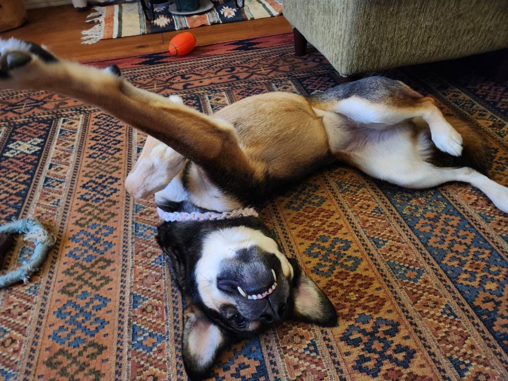 b0fbab5aa9ce10f0d73671567563044e