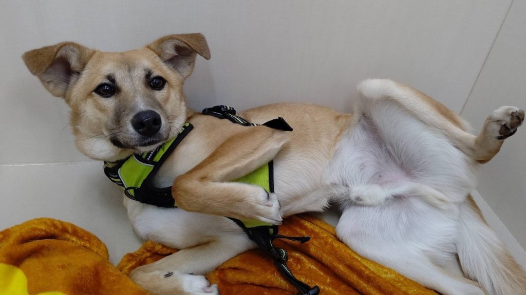 ca1e758045d9f92a108a69ec6d41bfff