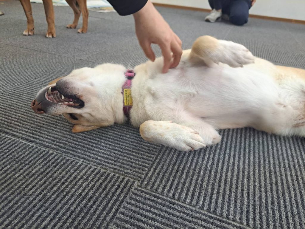 9679bab0cc0a340c87da88f6d887f8c9