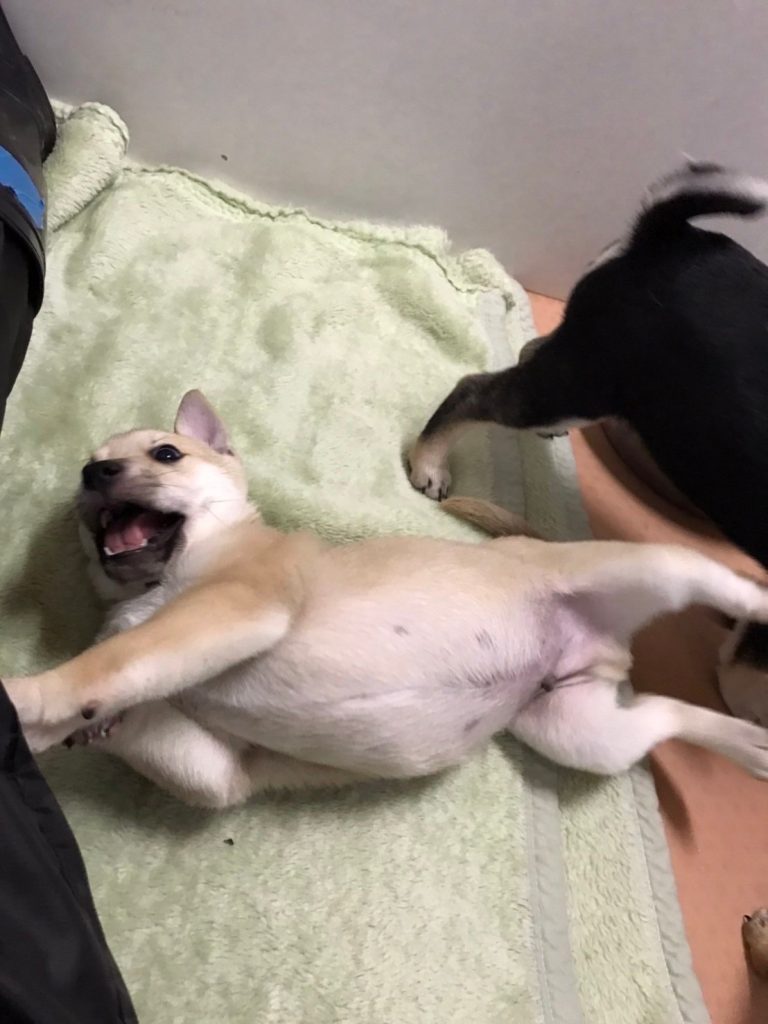 defc7f5de12075bc17a84dbb2bd7cbd7