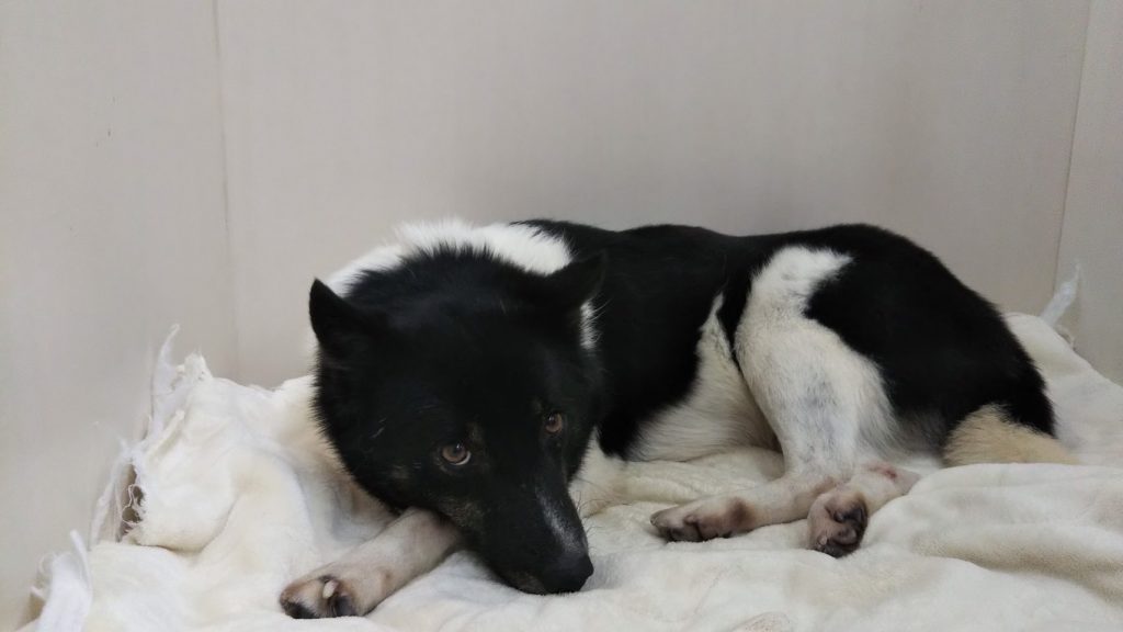 2119ead10bde858a6a927211b35b3e51