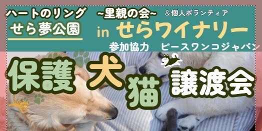 譲渡会・イベントのご案内 5 a216ccd84094e4625d18276d9844ce08