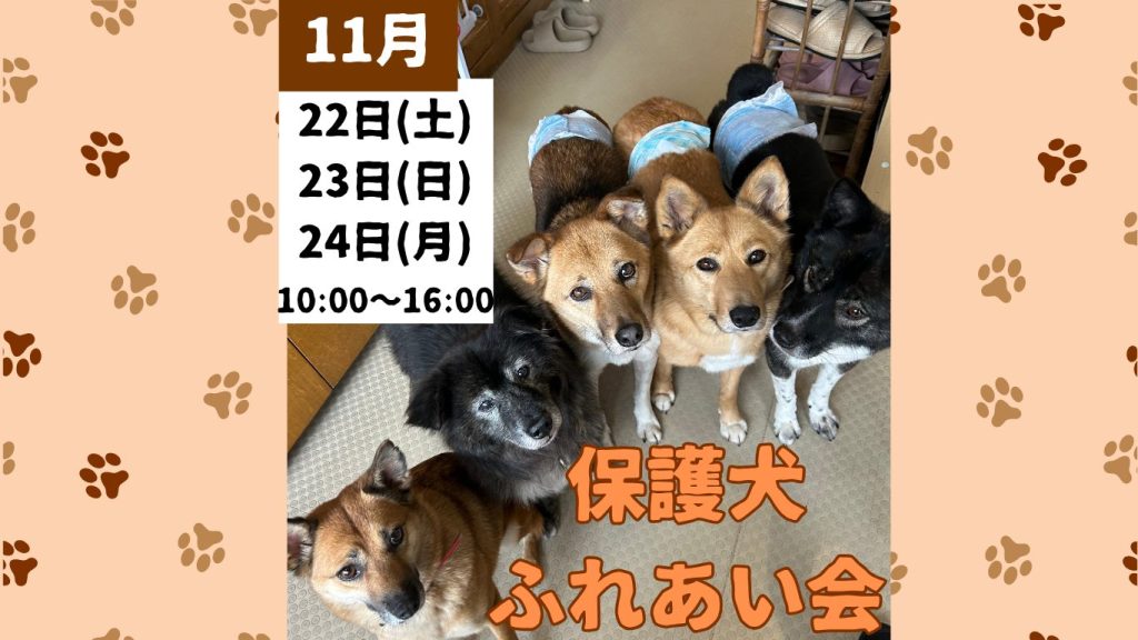 e4b48e56a3ce4a7ef2e39586318363aa 1