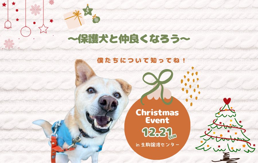 【ピースワンコのイベント】12/21(日)開催クリスマスイベント~保護犬と仲良くなろう~(生駒譲渡センター) 7 d6cb926a0ee4ebdbf9d975051f404779