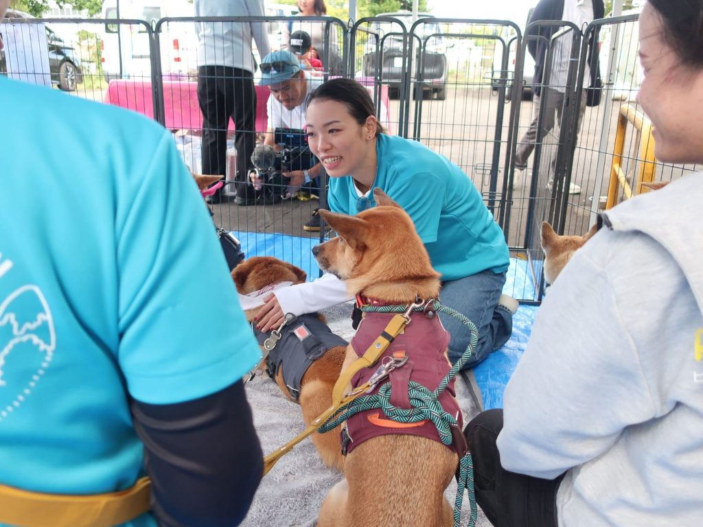 0f67208da0385501522ca2130094604f