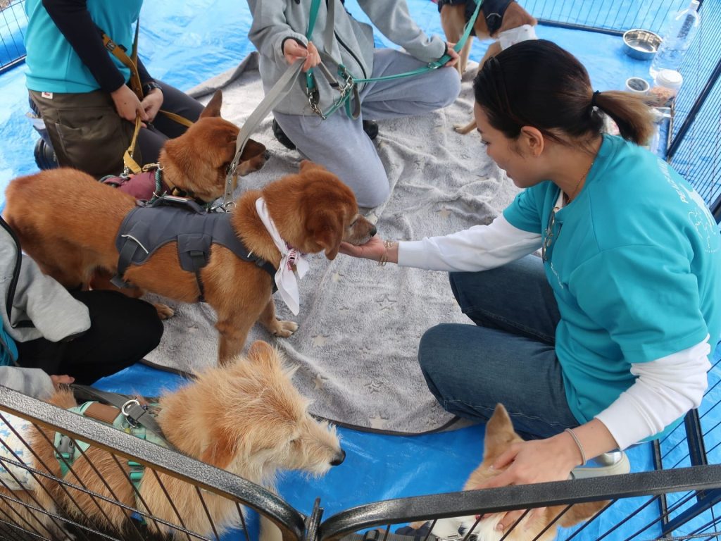 b2cc55aaa4d5422833c47c6480a76fd5