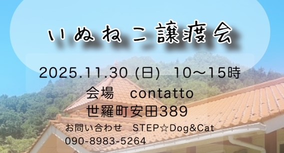 【ピースワンコの譲渡会】11/30(日)「いぬねこ譲渡会」に参加(広島/世羅町) 7 732aa58b8945347bda305833952349bd