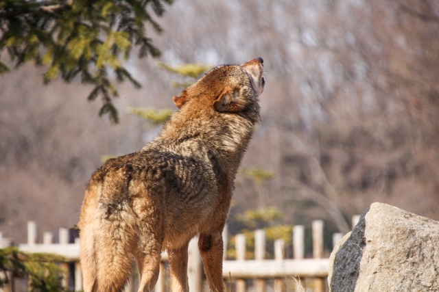 c4352aeb723bf5f6612cb9436b9c3ca1