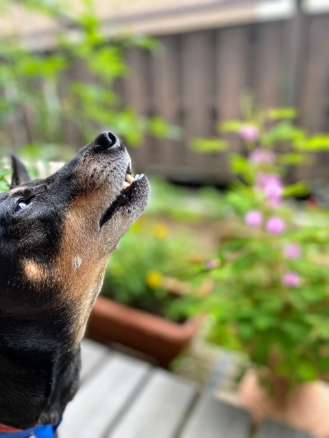 2b1b3ae614d6c77fc5f7601a6496a3d2