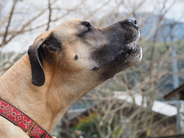 793f5d841f7b0f7de41ec261f51effc6