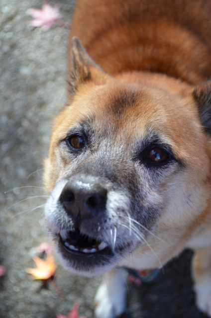 a84ed40621870661ce83da2858087c62