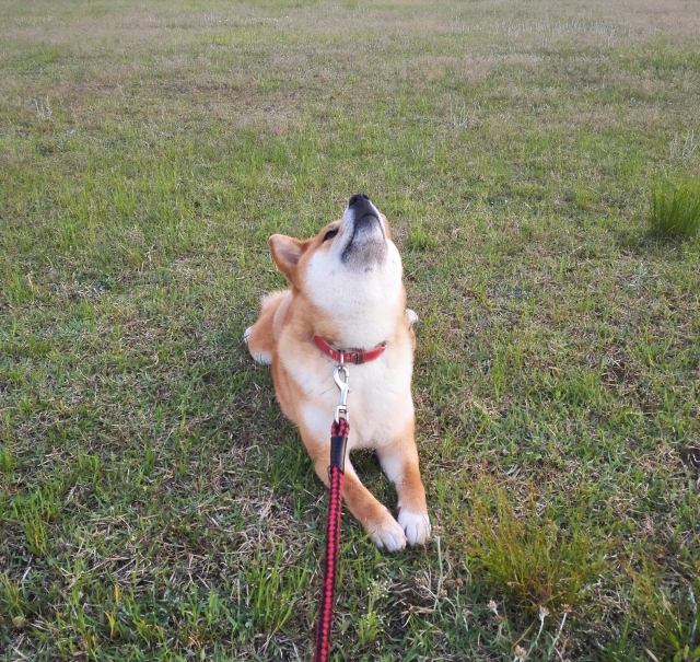 1ac9a9745587d9238d25af0d1638ffb8