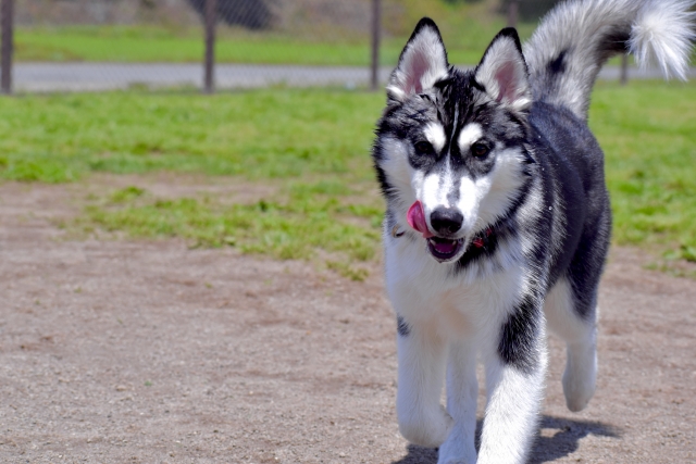 6d09ac62434fe5d4bba432cbd8de2c8b