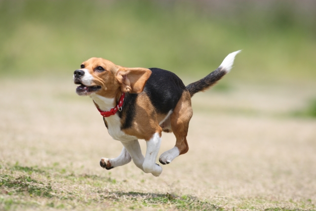 28ee18be8e6f6310d7d7654bf3704102