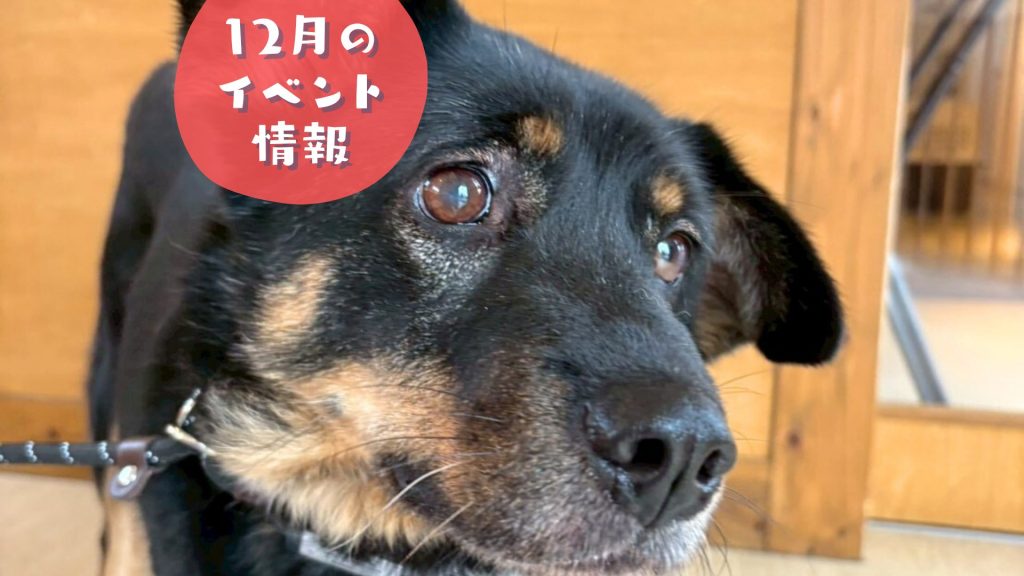 0a3ca637c2a28c548bb21c859512671d