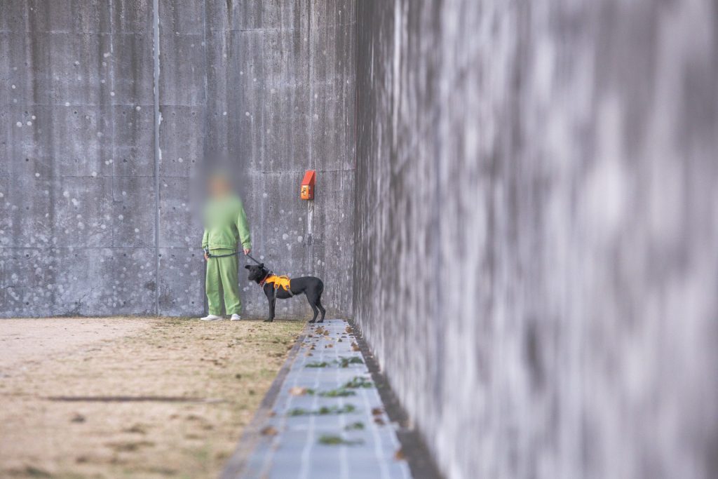 28097a1aec026558ca0e35ed4520f43e